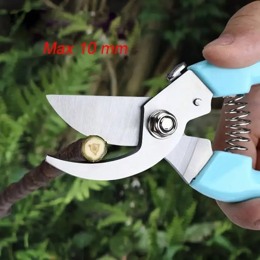 2026 Curve Gardening Scissor W – Pinking Shear Blade recenzja i cena